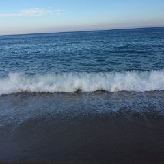 IMG 022